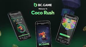 Complete Guide to BC.Game ID Registration 1772703128