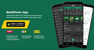 Discover the Exciting World of BetWinner Your Ultimate Betting Destination