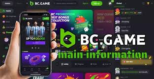 Exploring BC.Game in Azerbaijan A New Era of Online Gaming