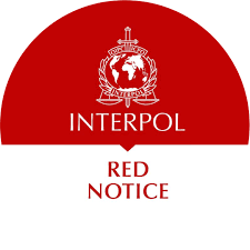 Understanding the Role of Interpol Lawyers 1343716754